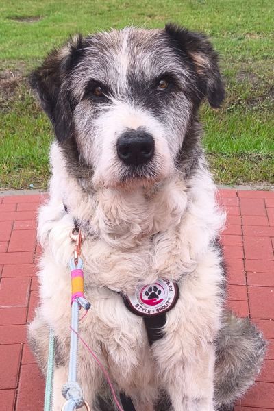 Theo schaut aufmerksam in die Kamera.