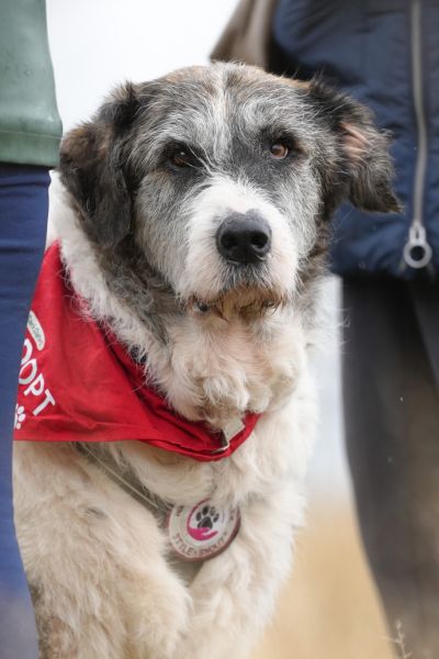 Theo schaut aufmerksam in die Kamera.