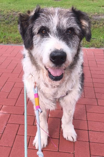 Theo steht und schaut neugierig in die Kamera.