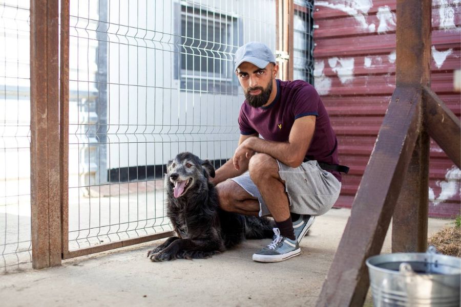 Tierpfleger Petru hat ein Herz für unsere rumänischen Hunde