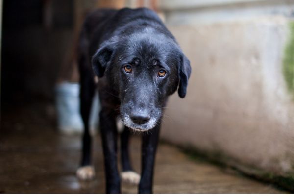 Iluna schaut schpchtern in die Kamera.