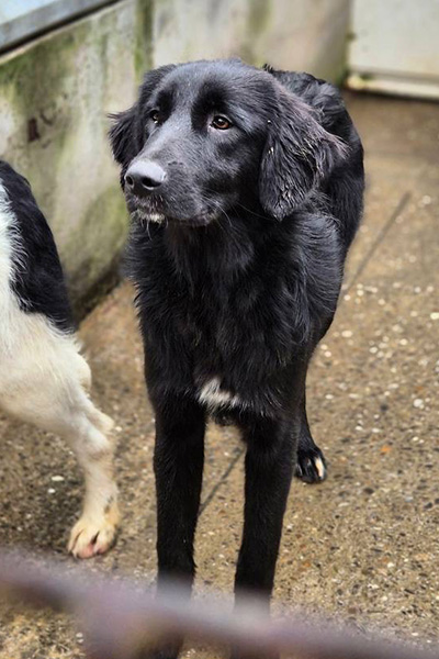Sophie im Shelter schaut zu Seite