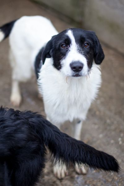 Donna schaut in die Kamera.