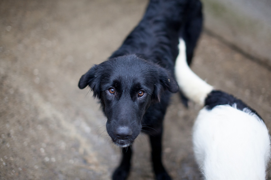 Sophie schaut traurig in die Kamera