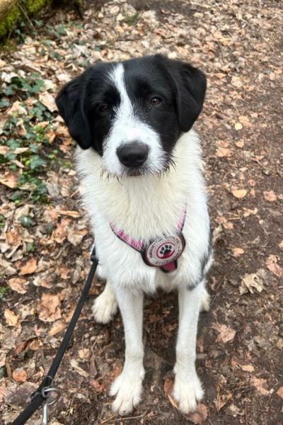 Donna sitzt beim Spaziergang und schaut in die Kamera.