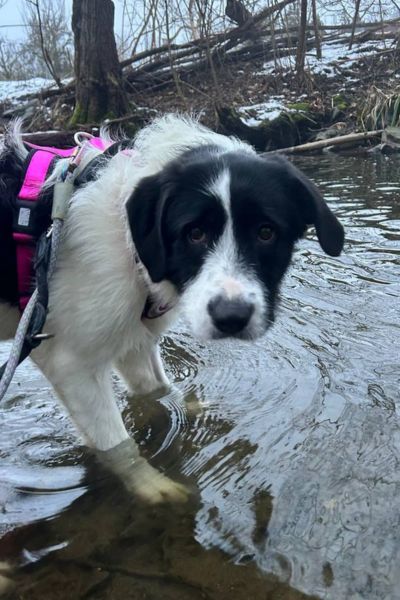 Donna steht mit den Füßen im Wasser.