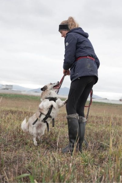 Der kleine Ennio springt draußen auf einer Wiese an seiner Gassigeherin hoch