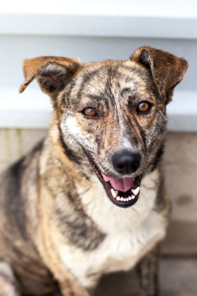 Naroa blickt aufmerksam nach oben in die Kamera.