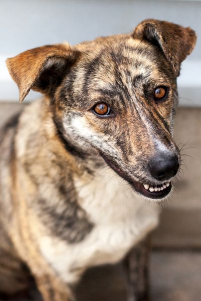 Naroa blickt neugierig in die Kamera.