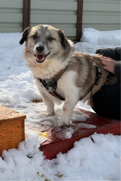 Ennio steht im Schnee und schaut in die Kamera