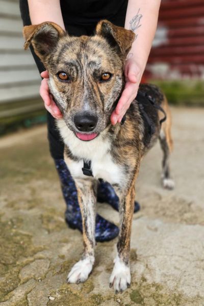 Naroa blickt aufmerksam in die Kamera, während eine Pflegerin ihren Kopf hält.