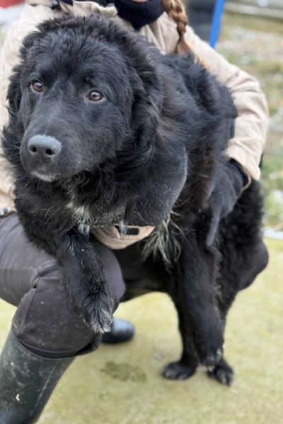 Apollo auf dem Schoß