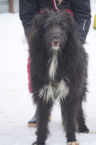 Poseidon schaut in die Kamera