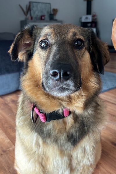 Lilou schaut erwartungsvoll in die Kamera.