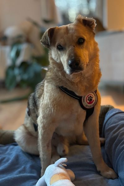 Tjark sitzt und schaut neugierig in die Kamera.