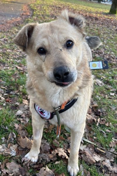 Tjark schaut draußen neugierig in die Kamera.