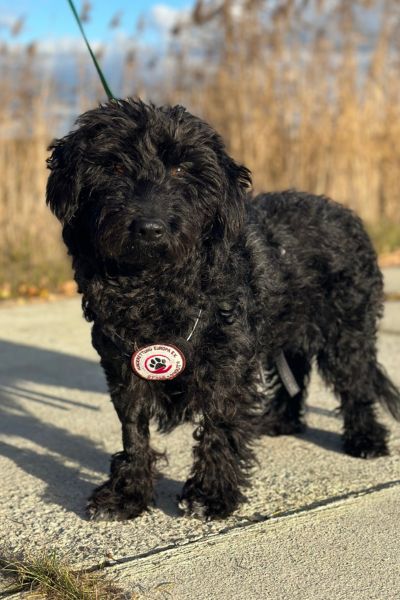 Freya steht und schaut in die Kamera.