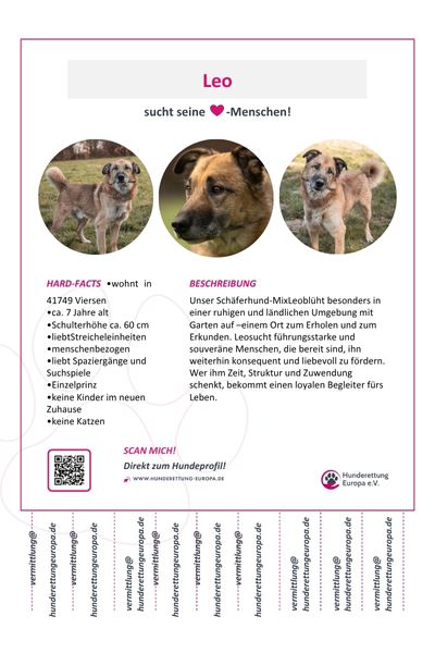 Steckbrief von Leo