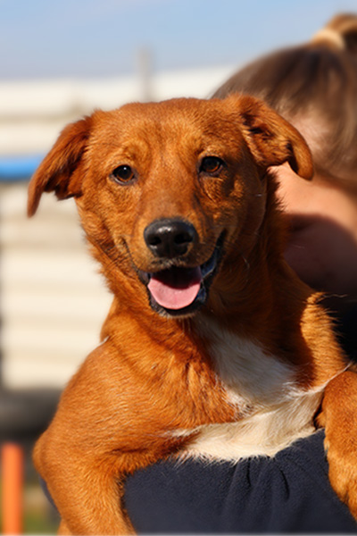 Shrek auf dem Arm der Tierpflegerin