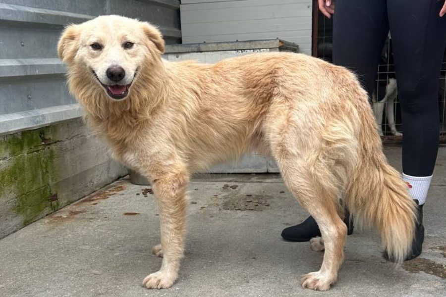 Nubi schaut in die Kamera.