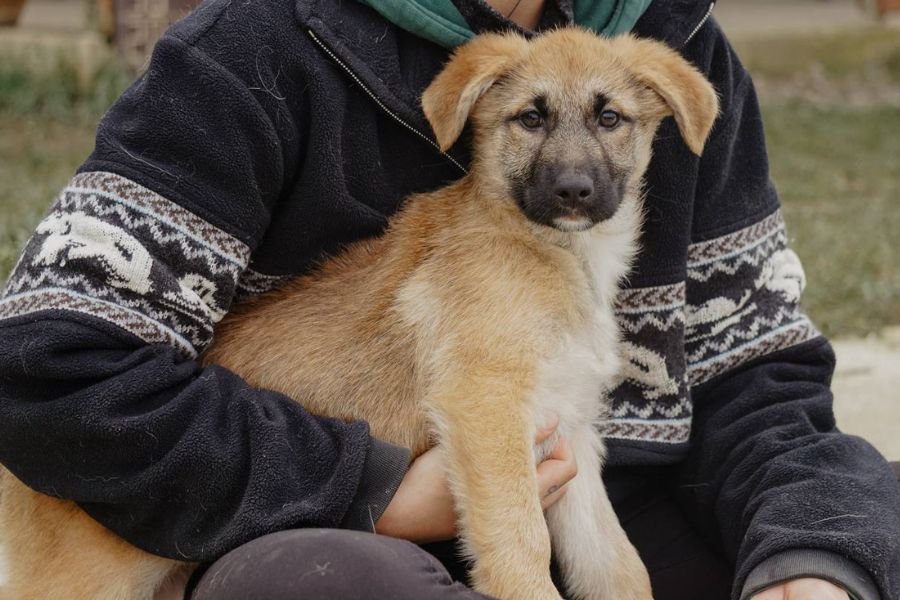 Melly sitzt in den Armen einer Pflegerin und schaut in die Kamera.