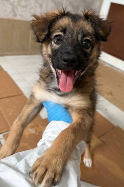 Die kleine Cassie stützt sich auf einer Pflegerin ab und schaut mit raus gestreckter Zunge in die Kamera