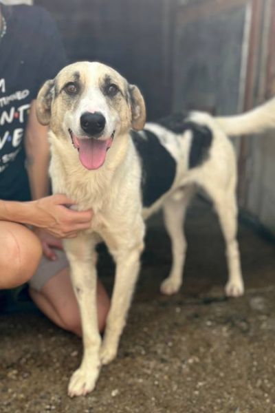 Kaido schaut fröhlich in die Kamera.