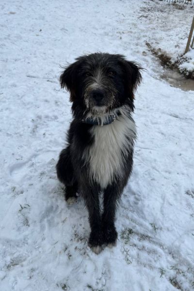 Karl sitzt im Schnee.