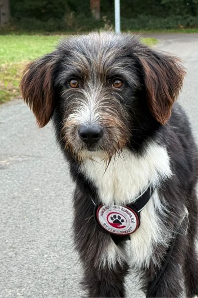 Karl schaut aufmerksam in die Kamera.