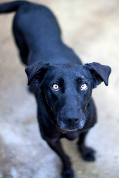 Cherry schaut nach oben in die Kamera
