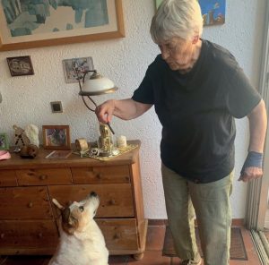 Eine Seniorin zeigt einem älteren Hund das Sitz an