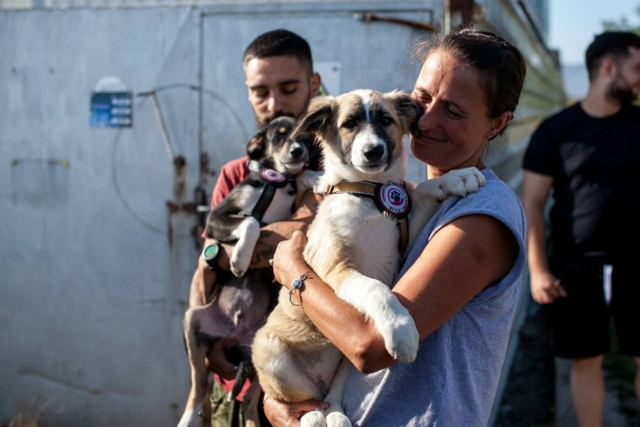 Laurene hält einen geretteten Junghund auf dem Arm