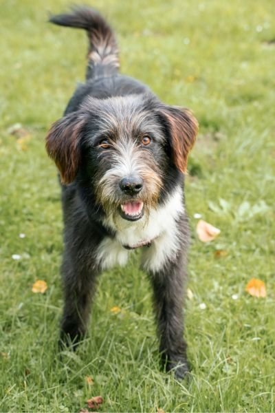 Karl schaut neugierig in die Kamera.