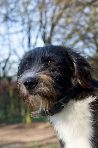 Karl schaut aufmerksam zur Seite.