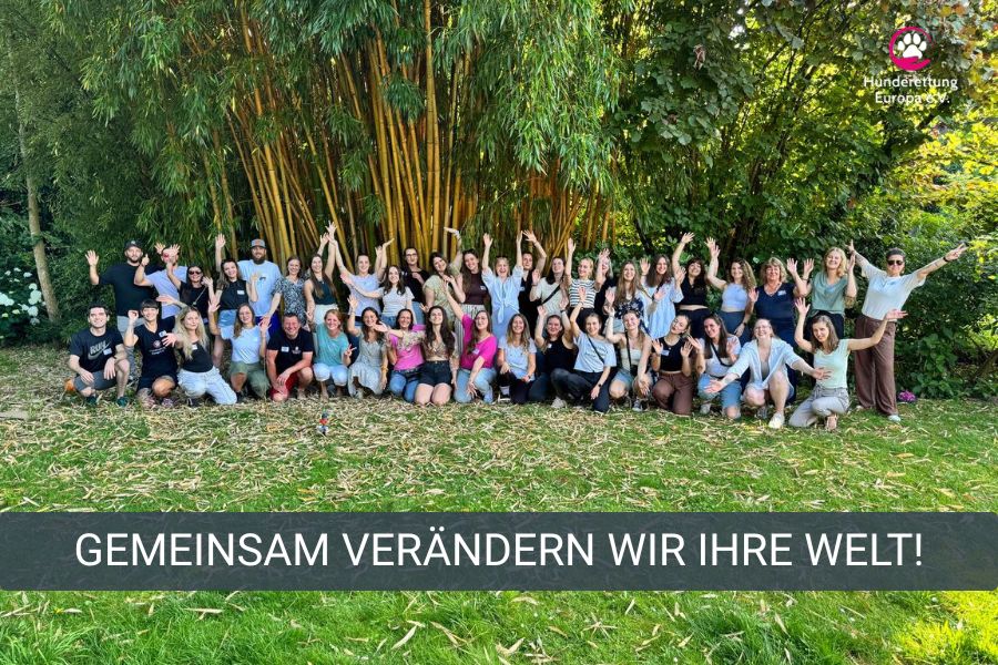 team-ehrenaamt-hunderettung-europa