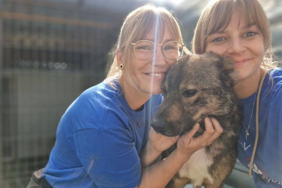 Zwei Frauen und ein Hund schauen in die Kamera.