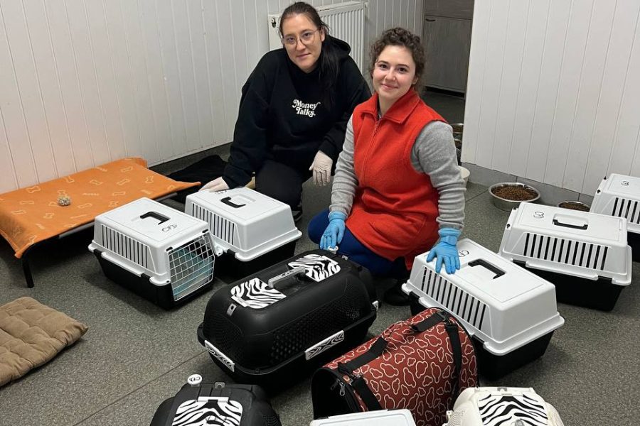 Zwei Frauen zwischen Katzenkäfigen