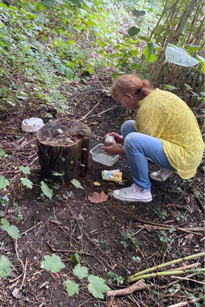 Futterstelle mitten im Wald