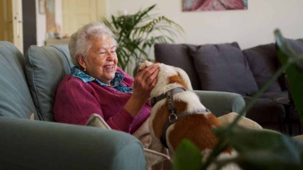 Senioren für Senioren: Eine ältere Frau sitzt auf einem Sessel, vor ihr ein Hund, dem sie den Kopf krault