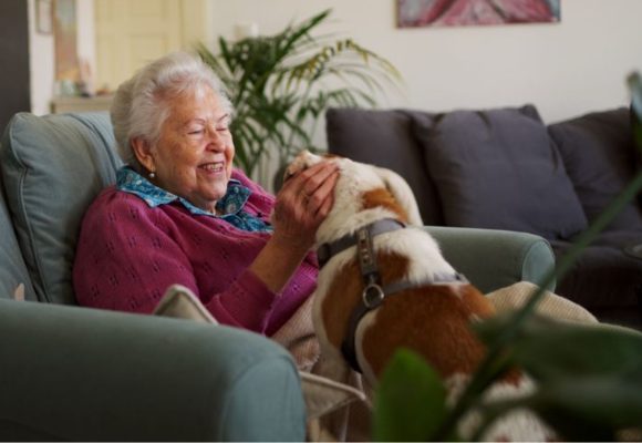 Senioren für Senioren: Eine ältere Frau sitzt auf einem Sessel, vor ihr ein Hund, dem sie den Kopf krault