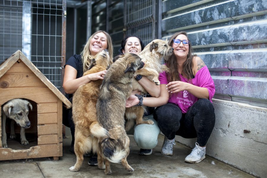 Carina, Delia (Tierheimleiterin), Svenja (v.l.n.r.)