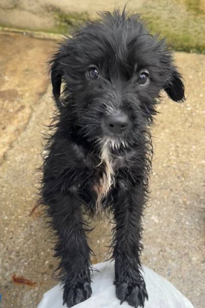 Anthony schaut von unten in die Kamera