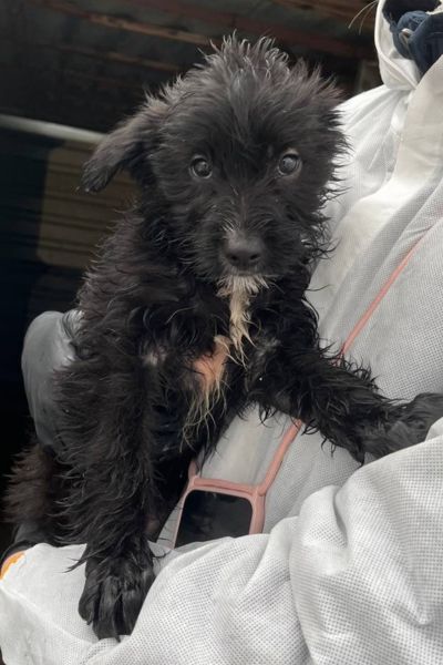 Anthony ist auf dem Arm