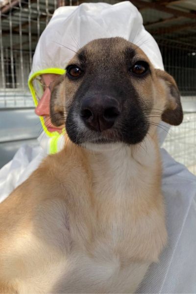 Azula schaut in die Kamera