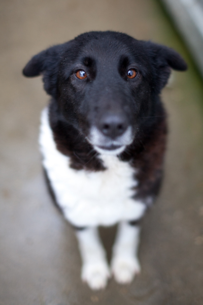 Tjara schaut in die Kamera