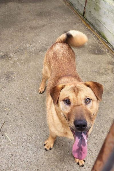 Caleb schaut in die Kamera