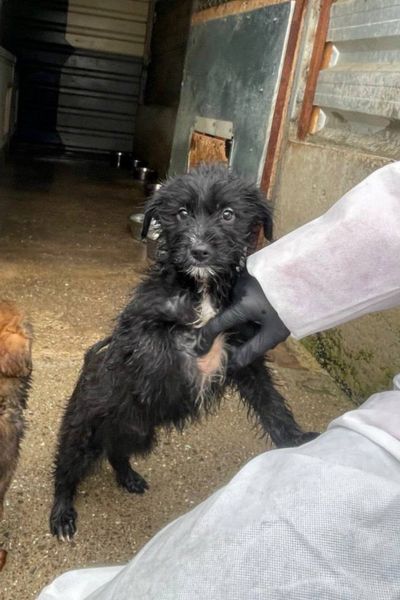 Anthony springt an jemandem hoch und schaut dabei in die Kamera