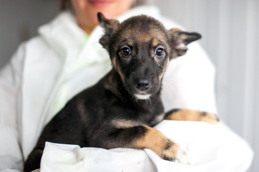 Die kleine Arya liegt in den Armen einer Pflegerin und schaut in die Kamera.