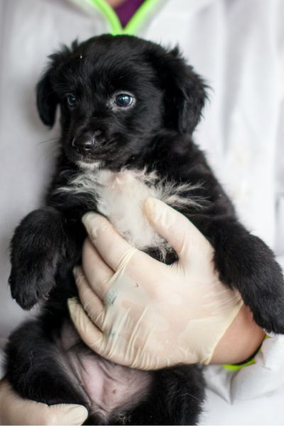 Daphne wird von einer Pflegerin hochgehoben und blickt zur Seite.