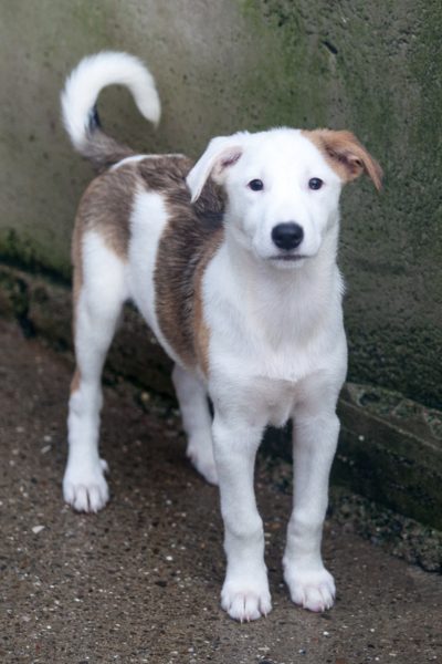 Jon steht im Shelter und schaut in die Kamera